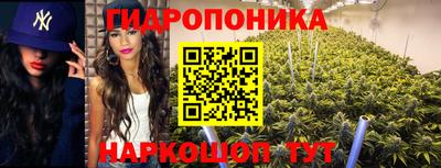 PSILOCYBIN Заволжье