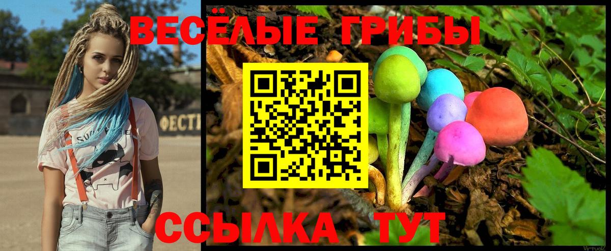 Галлюциногенные грибы Psilocybe Луга