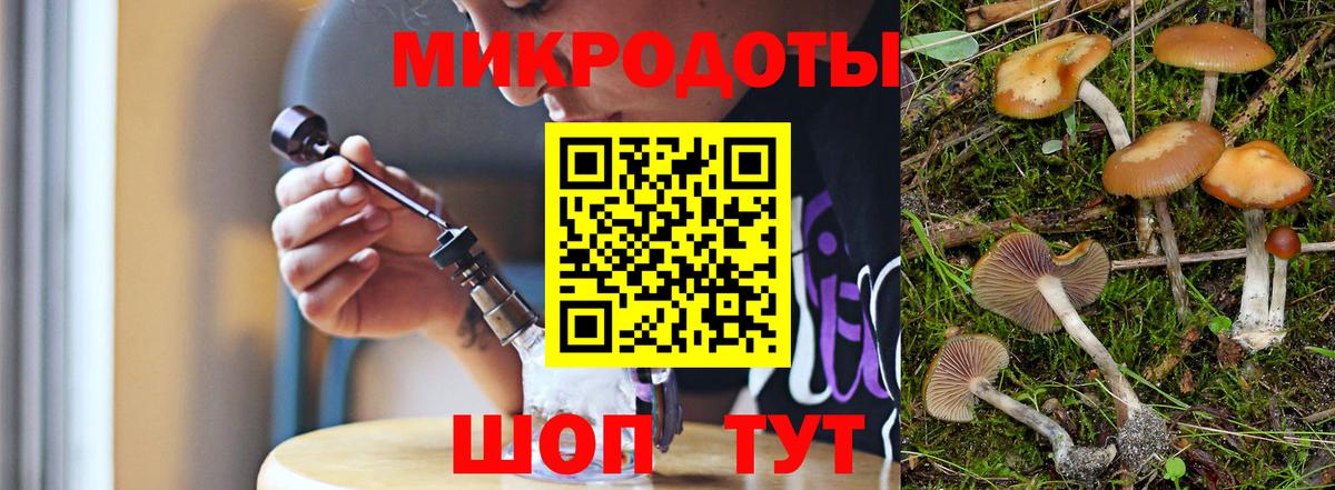 Луга  Галлюциногенные грибы ЛСД  Вход с VPN  Галлюциногенные грибы Psilocybe 